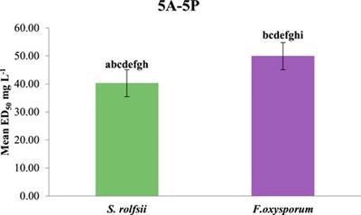 Green synthesis, structure–activity relationships, in silico molecular docking, and antifungal activities of novel prenylated chalcones